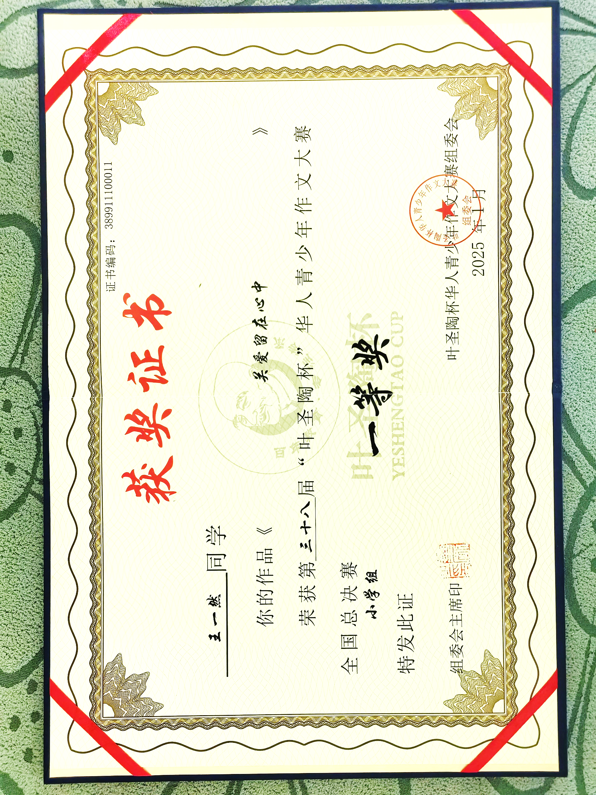 全国“叶圣陶杯”华人青少年作文大赛