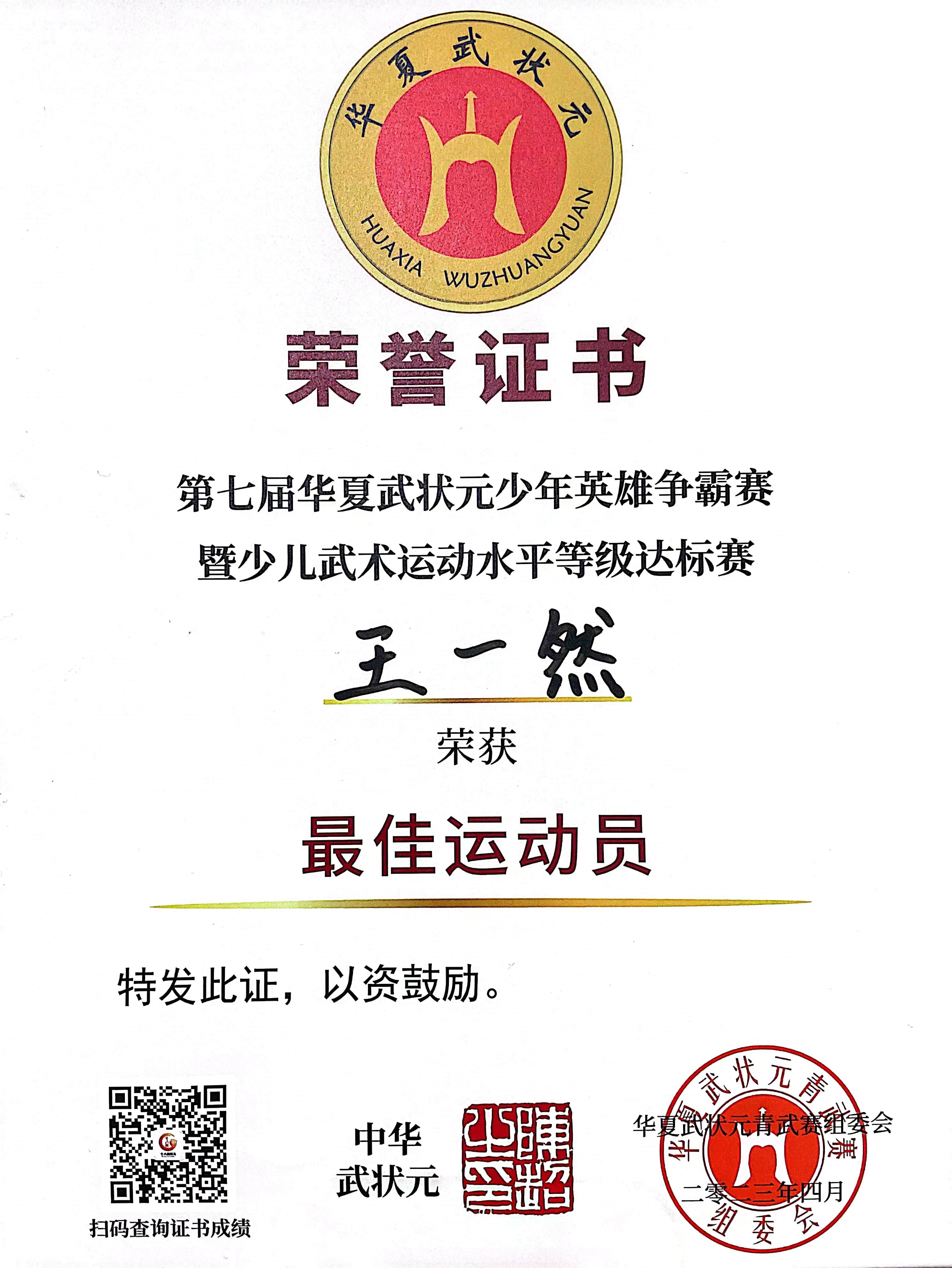 全国少儿武术运动水平等级达标赛